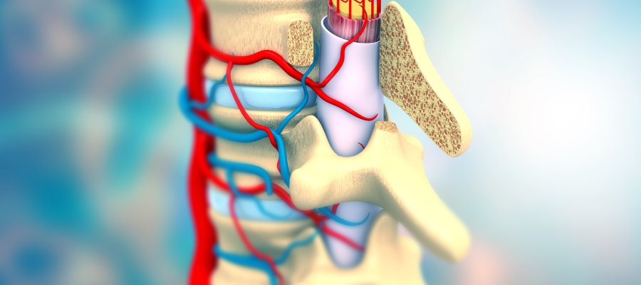 Endoscopic Radiofrequency Ablation Treatment Clinic in Ann Arbor, MI