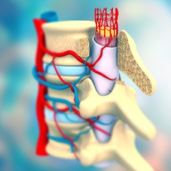 Endoscopic Radiofrequency Ablation in Ann Arbor, MI and Adrian, MI